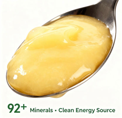 🗓️ Limitless Weekly Subscription – The Routine Builder